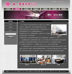 诚一公司仿皮银包工厂网站初稿制作 网页设计简洁与大气的极致平衡